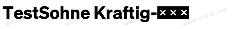 TestSohne Kraftig字体转换